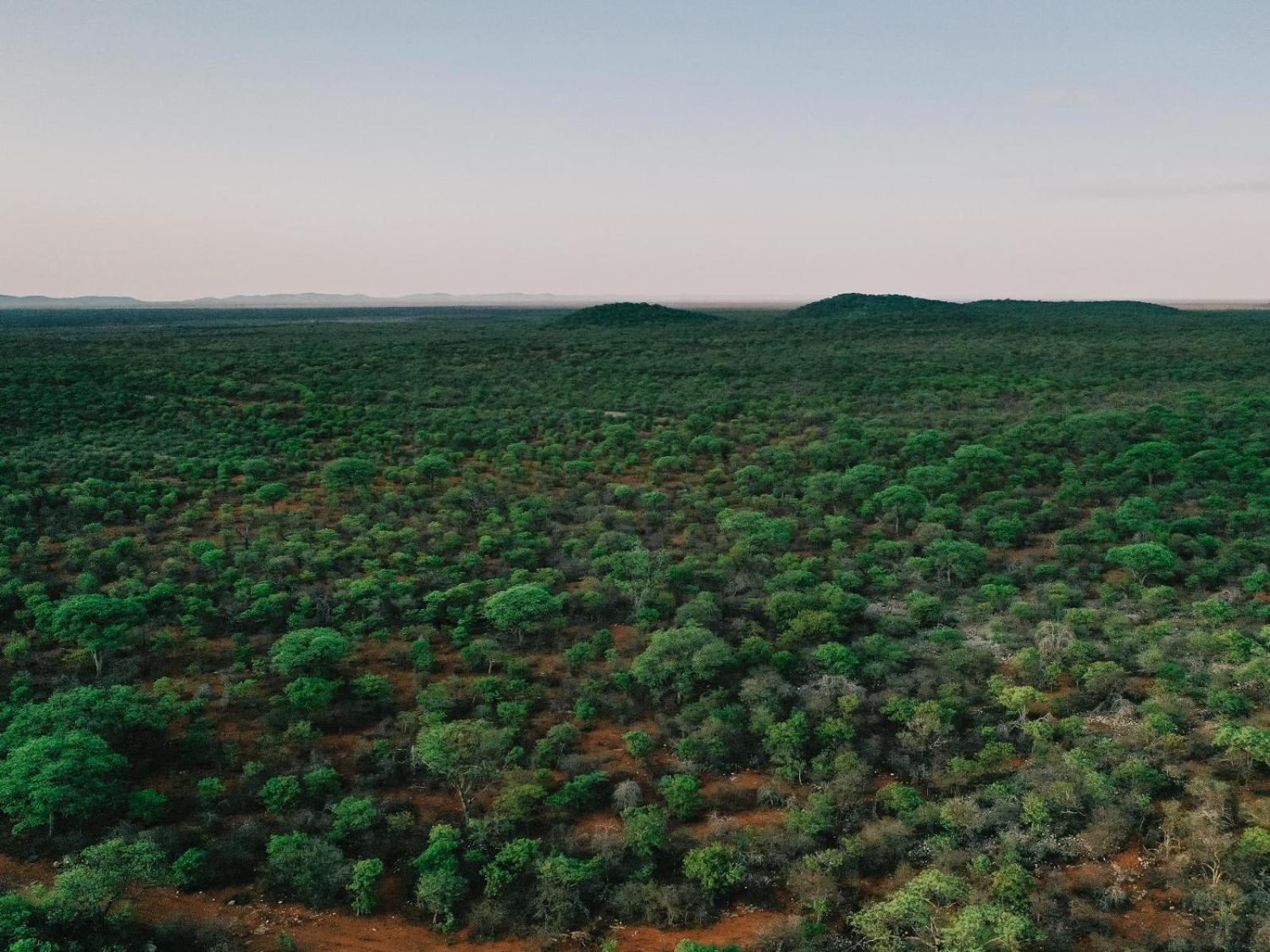 Kifaru Bush Camp Hotel Outjo Eksteriør billede