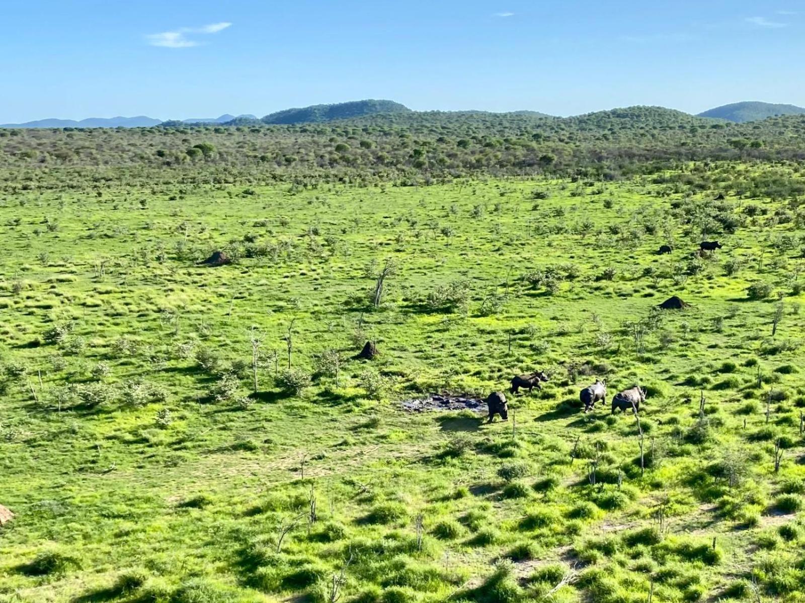 Kifaru Bush Camp Hotel Outjo Eksteriør billede